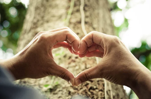 Protecting and love nature — Stock Photo, Image