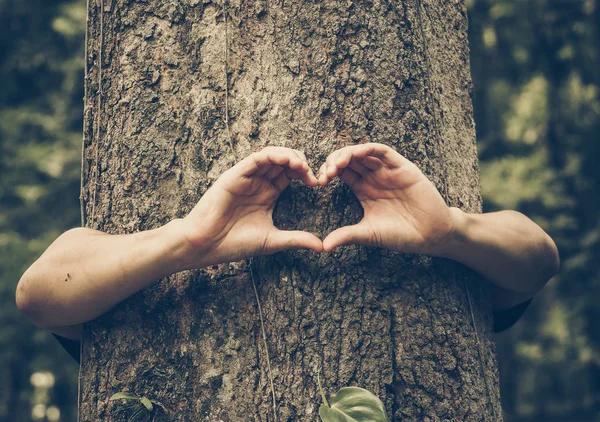 Protecting and love nature — Stock Photo, Image