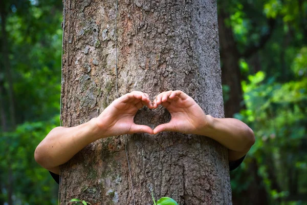 Protecting and love nature — Stock Photo, Image