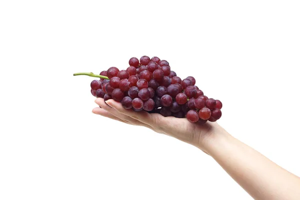Fioletowy winogron bez pestek — Zdjęcie stockowe
