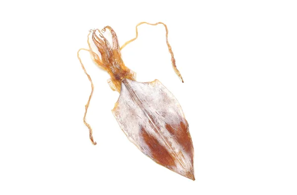 A Dried squid isolated — Stock Photo, Image