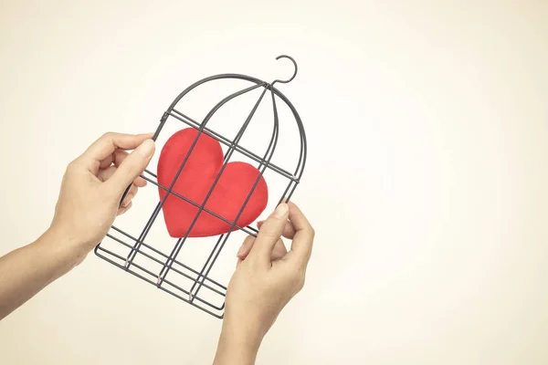 Ptačí klec s červeným srdcem — Stock fotografie