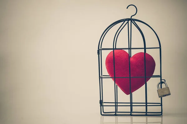 Kırmızı bir kalp ile kuş kafesi — Stok fotoğraf