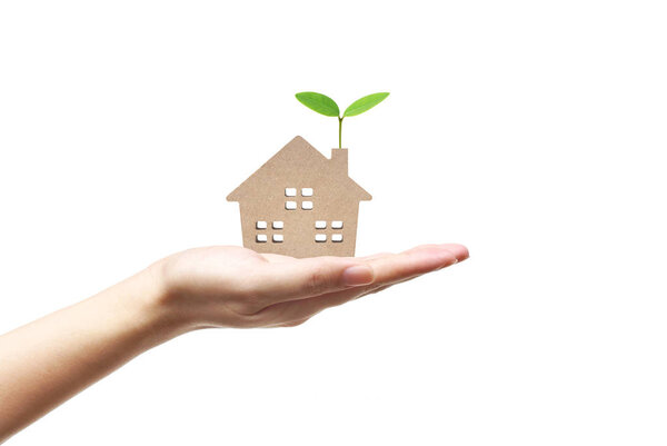 Hand holding an Eco house 