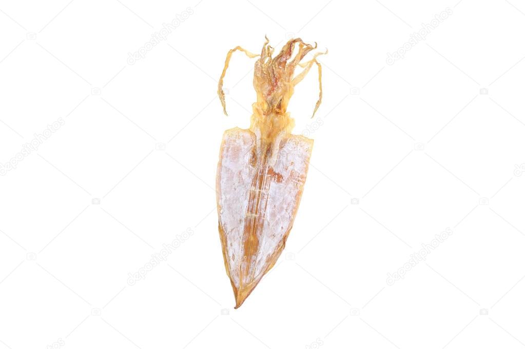 A Dried squid isolated  
