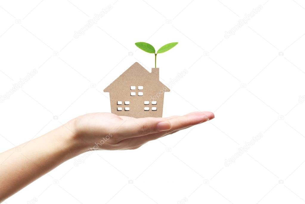 Hand holding an Eco house 