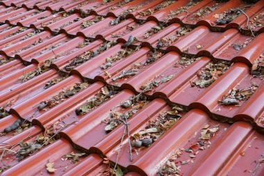 Old leaves on the roof of a house                               clipart