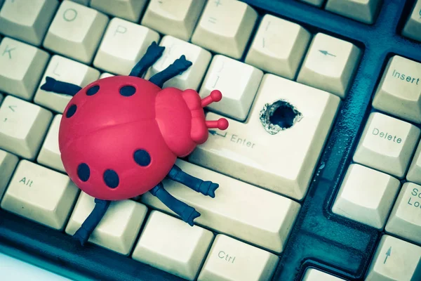 Een lieveheersbeestje op het toetsenbord van de computer met een gat — Stockfoto