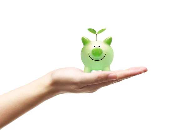 Hand Met Een Groene Piggy Bank Met Een Jonge Groene — Stockfoto