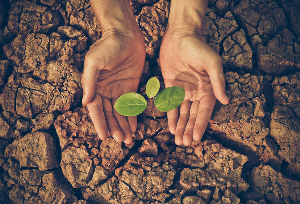 Любовь и защита природы
 