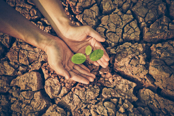 Любовь и защита природы
 
