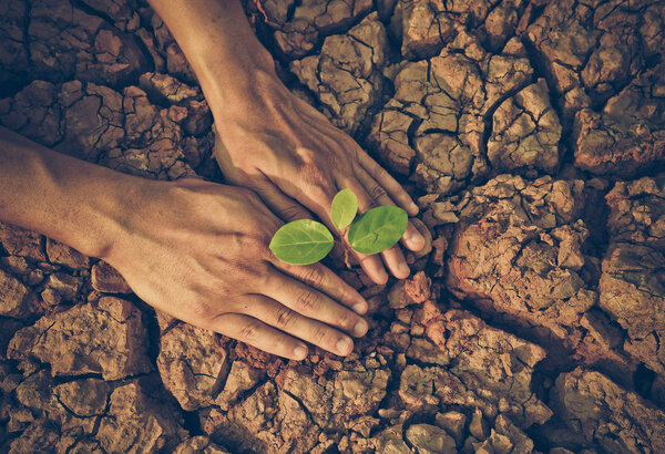 Любовь и защита природы
 