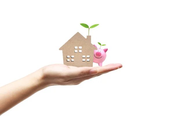 Hand met een kleine groene huis met een jonge groene plant — Stockfoto