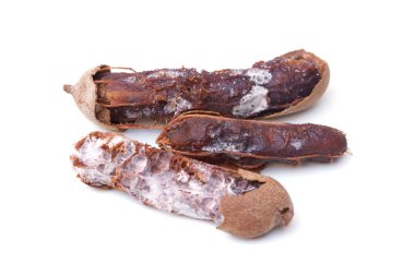 Çürük demirhindi kalıp tam                                    