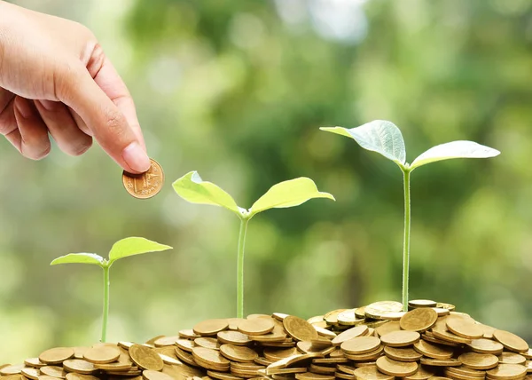 Hand Giving Coin Trees Growing Golden Coins Natural Green Background — Stock Photo, Image