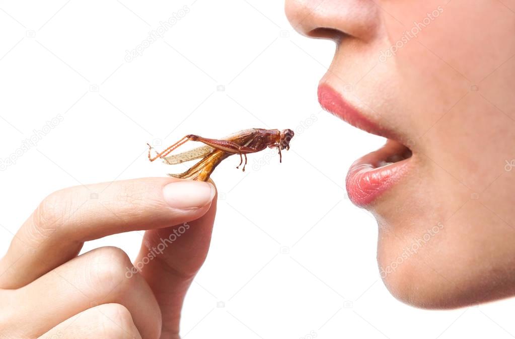 Closeup Asian female eating fried locust - Eating insect concept