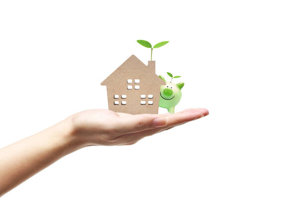 Hand holding a small house with a young green plant  and a piggy bank / Ecohouse and energy efficiency concept                               