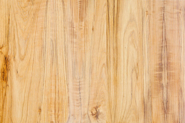 Wood texture. Wood texture for design and decoration