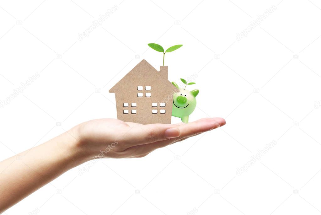 Hand holding a small house with a young green plant  and a piggy bank / Ecohouse and energy efficiency concept                               