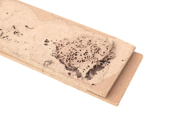 Closeup Dřevěných Planěk Zničených Termiti Izolované Bílém — Stock fotografie