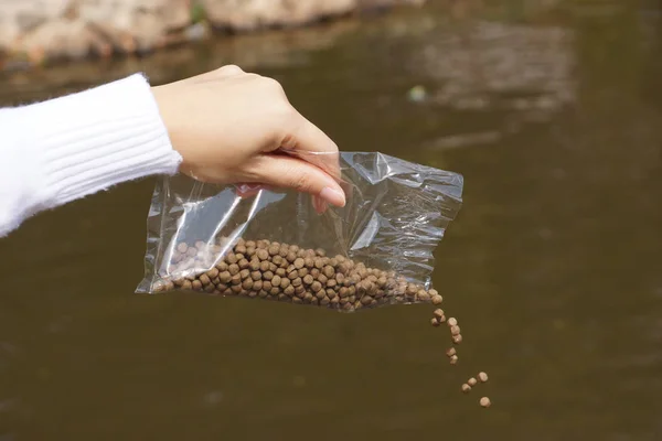 Female Hand Giving Fish Pellets Fish — Stock Photo, Image