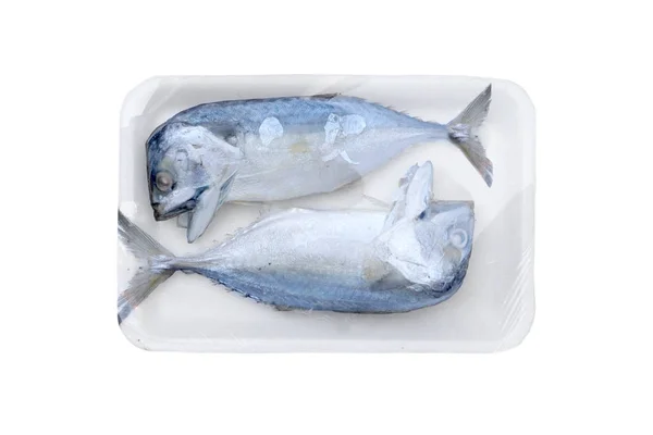 Ryby Parze Makrela Plastikowej Tacce Białym Tle — Zdjęcie stockowe