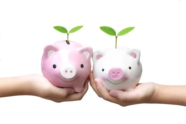Two Kids Holding Piggy Banks Green Trees Isolated White Background — Stock Photo, Image