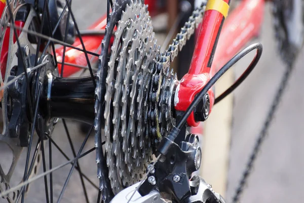 Bicycle Rear Cassette Speed — Stock Photo, Image