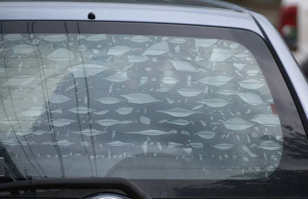 Air bubbles on window film of a car
