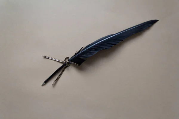 Black feather pen on brown craftpaper — Stock Photo, Image