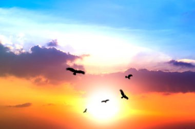 Hafif yumuşak renkler ve parlak s doğal kaynak arka planlar oluşturma