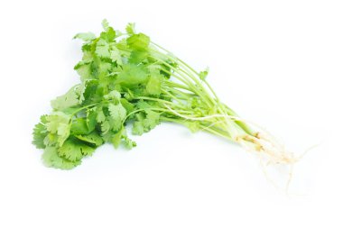 Beyaz arka plan üzerinde demet taze kişniş yaprakları