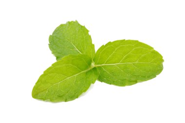 Beyaz arka plan üzerinde izole taze nane yaprakları