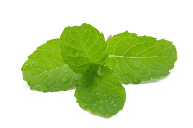 Beyaz arka plan üzerinde izole taze nane yaprakları.