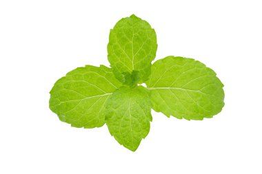 İzole üzerinde beyaz arka plan taze nane yaprakları