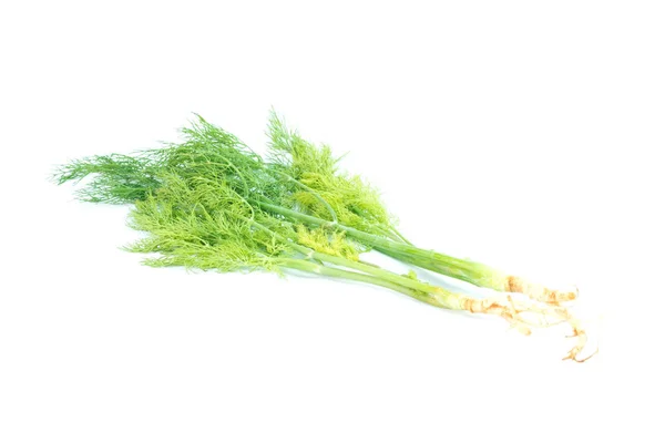 Ett gäng färska gröna dill isolerade — Stockfoto