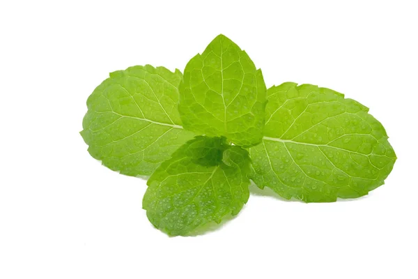 Fresh spearmint leaves isolated on white background — Stock Photo, Image