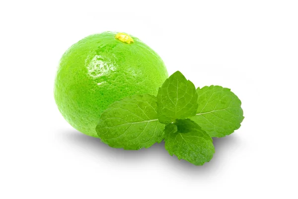Composition with lime and mint isolated on a white background wi — Stock Photo, Image