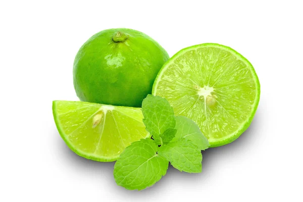 Composition with lime and mint isolated on a white background — Stock Photo, Image