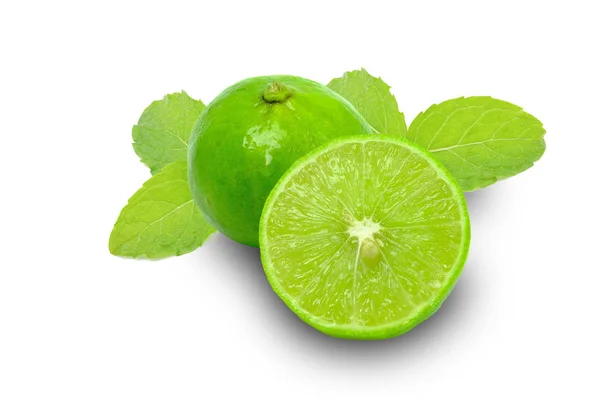Composition with lime and mint isolated on a white background — Stock Photo, Image