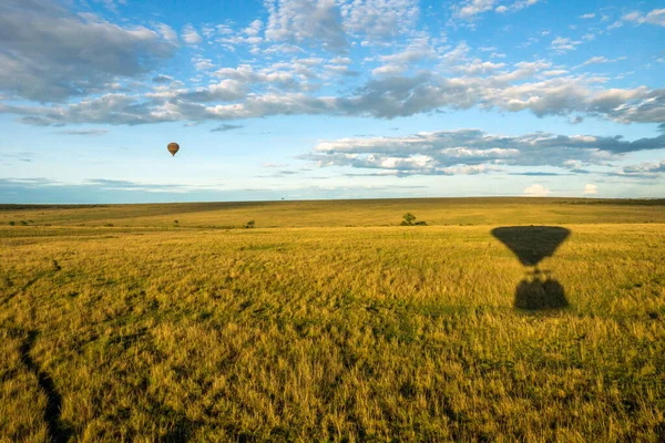 Hot air balloon ride on the big green plains of masai mara in kenya/africa. Bucketlist, travel and wilderness concept.