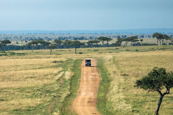 Off-road truck driving on gravel road in masai mara, kenya, africa. Holiday and safari travel concept.