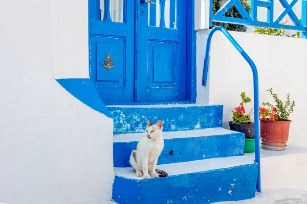 Cat sitting on blue stairs in Thirasia, Greece. Animal, pet, architecture, building, street, urban, ancient, travel, city, holiday concept.