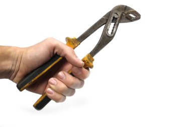 Beyaz bir arka plan üzerinde izole beyinameliyatı