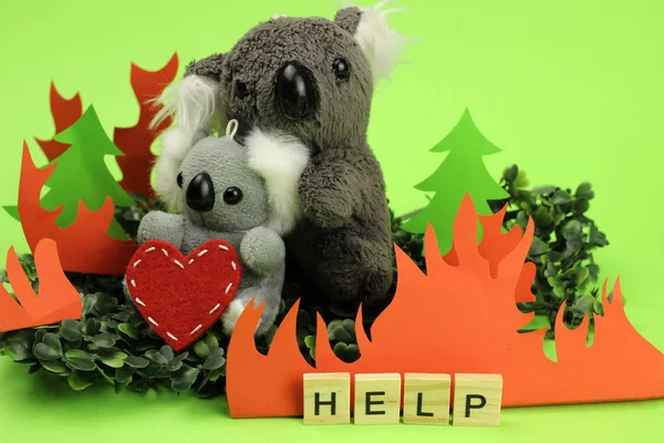 Koalas toy on the background of fire. Pray for Australia. Word help — Stockfoto