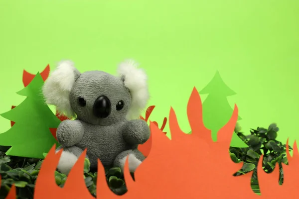 Koala toy on the background of fire. Pray for Australia.