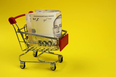 Ukrayna parasıyla alışveriş arabası, Hryvnia. Kağıt para, küçük faturalar.