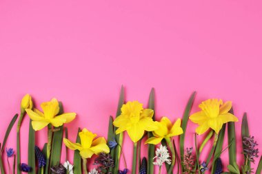 Pembe arka planda çiçek kompozisyonu. Bahar, yaz konsepti. Düz konum, üst görünüm, kopyalama alanı