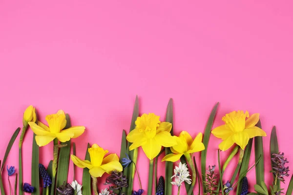 Composizione Dei Fiori Sfondo Rosa Primavera Concetto Estivo Layout Piatto — Foto Stock