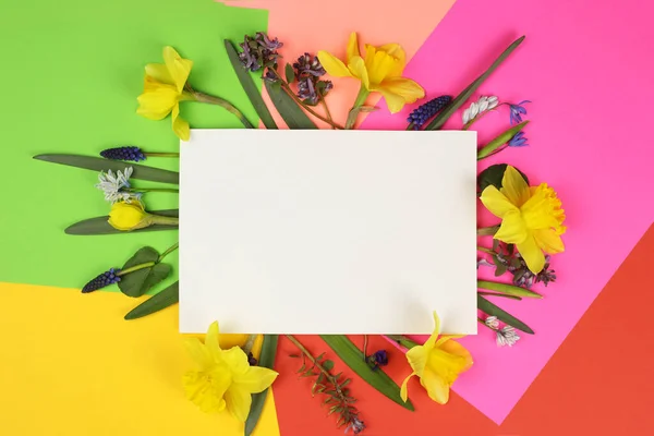 Χρωματιστά Πασχαλινά Αυγά Και Ανοιξιάτικα Λουλούδια Χρωματιστό Φόντο Διάταξη Χώρος — Φωτογραφία Αρχείου